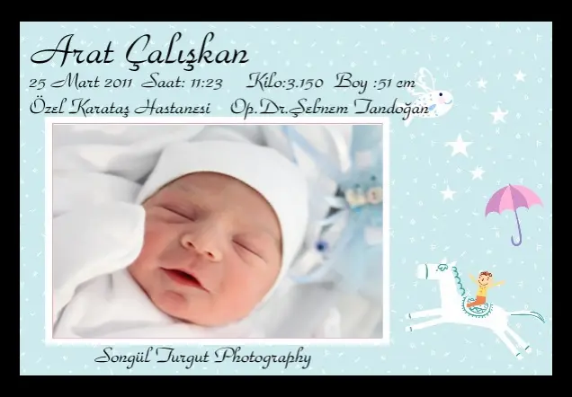 ARAT ÇALIŞKAN'ın Web Sayfası galerisi kapak fotoğrafı