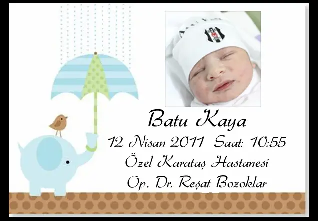 BATU KAYA'nın Web Sayfası galerisi kapak fotoğrafı