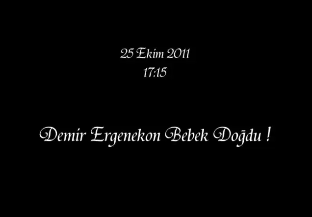 DEMİR ERGENEKON'nun Web Sayfası galerisi kapak fotoğrafı