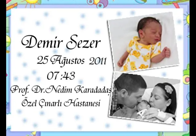 DEMİR SEZER'in WEB SAYFASI galerisi kapak fotoğrafı