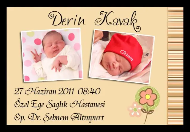 DERİN KAVAK'ın Web Sayfası galerisi kapak fotoğrafı