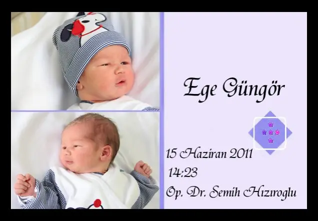 EGE GÜNGÖR'ün Web Sayfası galerisi kapak fotoğrafı
