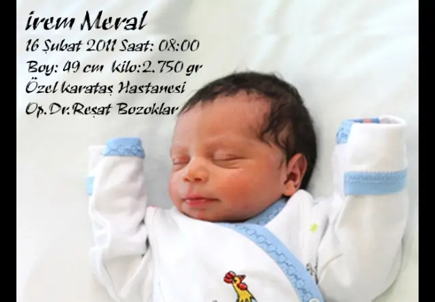 İrem Meral galerisi kapak fotoğrafı