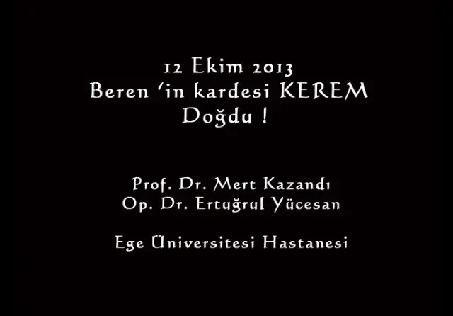 KEREM PERVANLAR galerisi kapak fotoğrafı