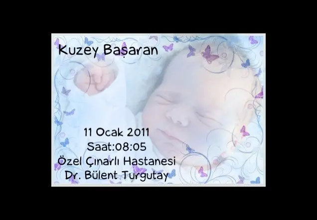 Kuzey Başaran galerisi kapak fotoğrafı