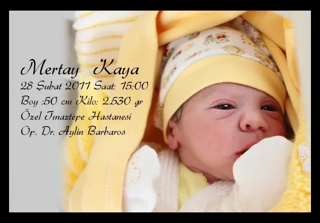 MERTAY KAYA'nın Web Sayfası galerisi kapak fotoğrafı