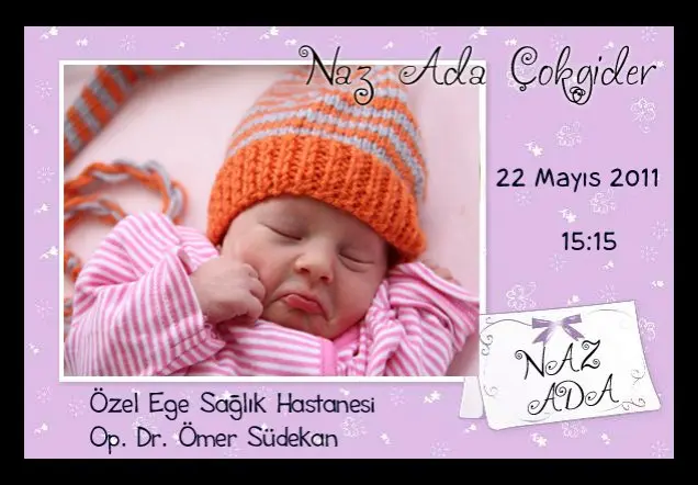 NAZ ADA ÇOKGİDER'in Web Sayfası galerisi kapak fotoğrafı