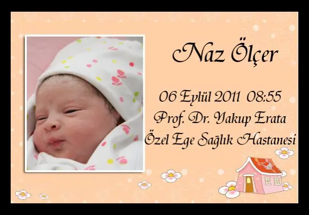 NAZ ÖLÇER'in Web Sayfası galerisi kapak fotoğrafı